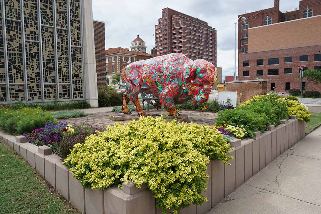 Bartlesville Buffalo located next to the Presbyterian Church downtown